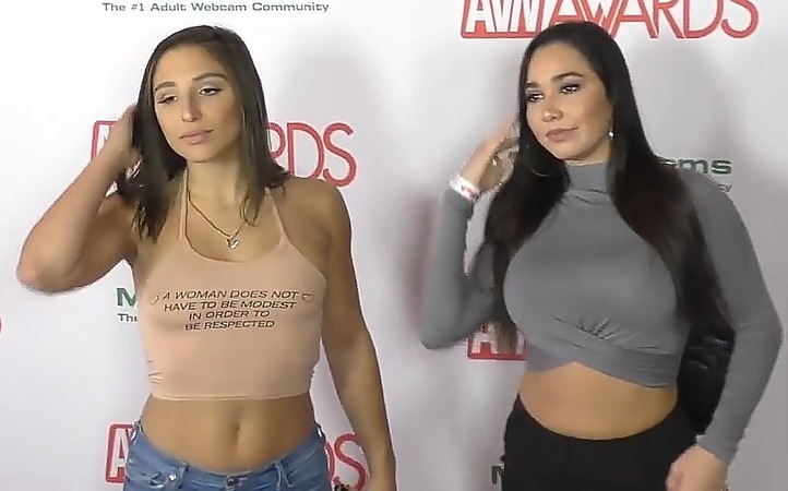 Abella Danger net worth 2024: how much does she earn from Onlyfans