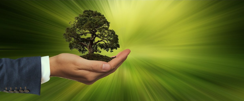 What is the circular economy? How it works, objectives and advantages