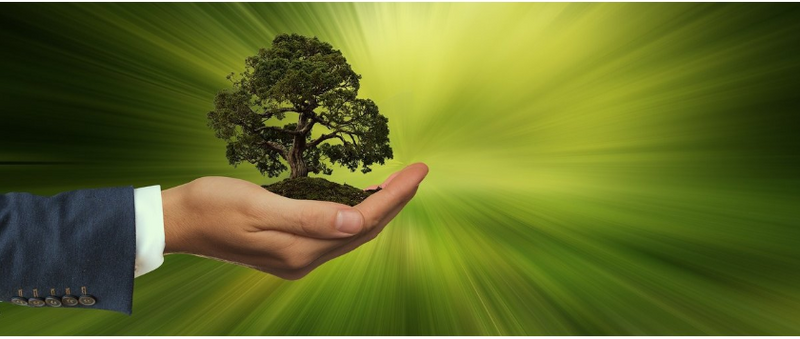 ESG Certification: What It Is, What It's For, and How to Get It