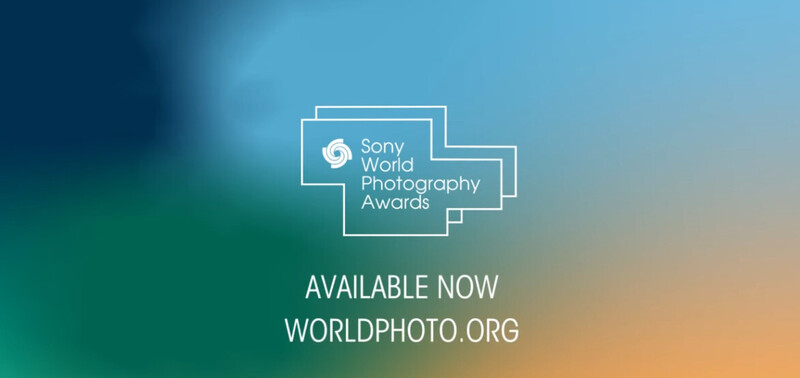 AI-generated picture wins the Sony World Photography Awards. Artist declines award