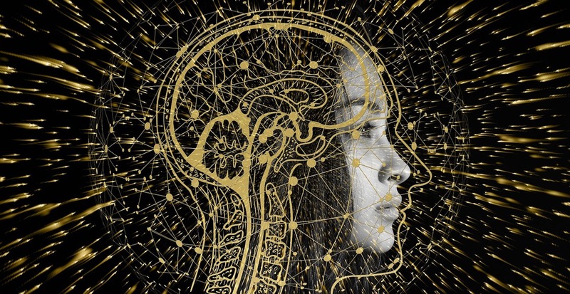 Insight: AI will not affect networks and social capital