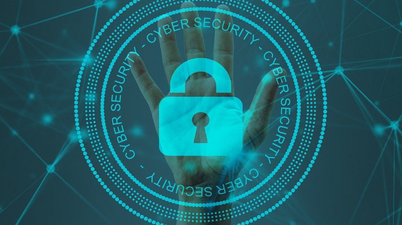 Who is the DPO, what does he do and what is his purpose?