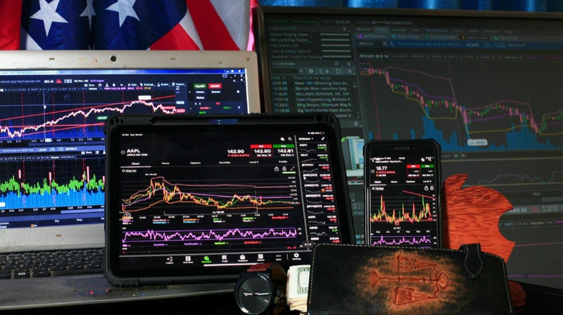 What is a stock's beta coefficient and how does it work?