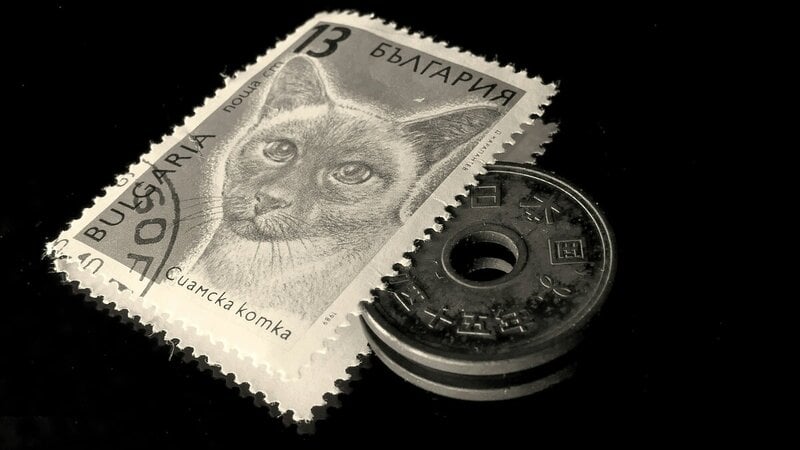 6 Popular Collectible Investments