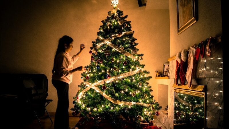 How much do the Christmas Tree and Christmas Lights consume