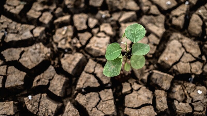 Historic Deal on Biodiversity Protection ends COP15 Climate Conference