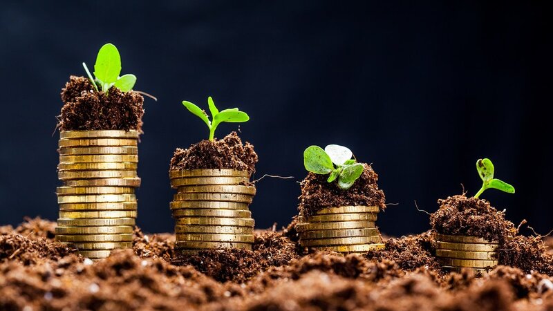 Investing in sustainability: 3 reasons why it's a good idea
