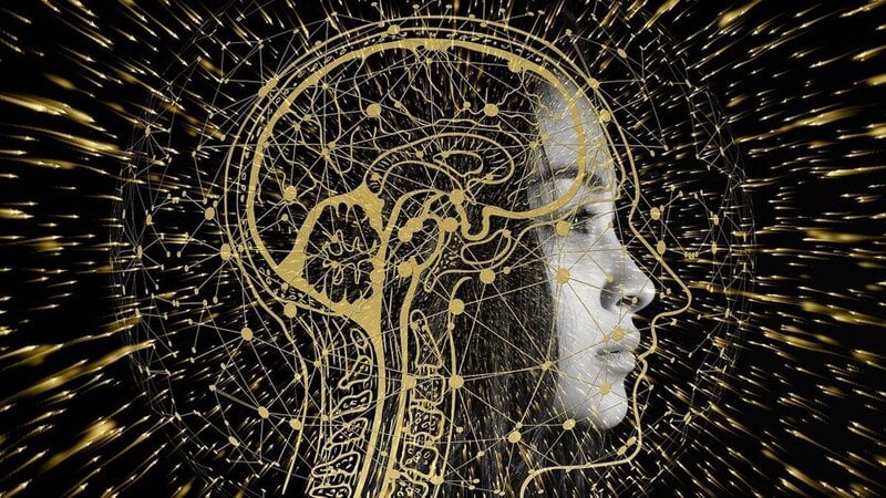 Insight: AI will not affect networks and social capital