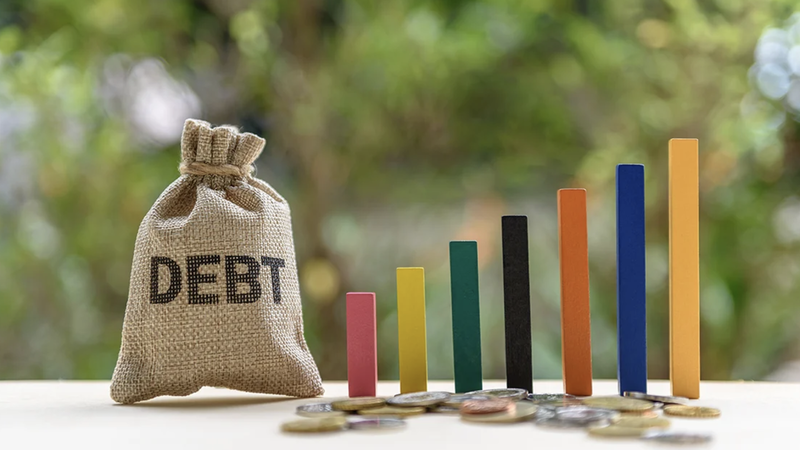 Why Bond Markets May Be the Real Brake on the New Big State