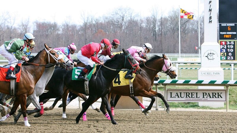 Preakness Stakes 2026 Prize Money: How Much the Winner Takes Home From the $2 Million Purse Saturday at Laurel Park