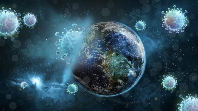 Hantavirus: the cost of uncertainty. What impact could this outbreak have on the world economy? 