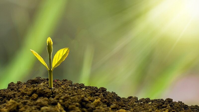 Certificates of Deposit: what are they? A complete guide