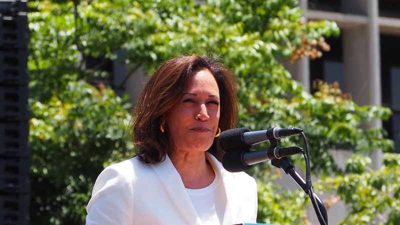 Inflation and welfare: Kamala Harris unveils her economic agenda