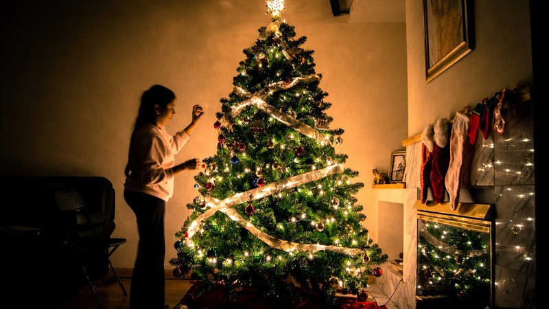 How much do the Christmas Tree and Christmas Lights consume