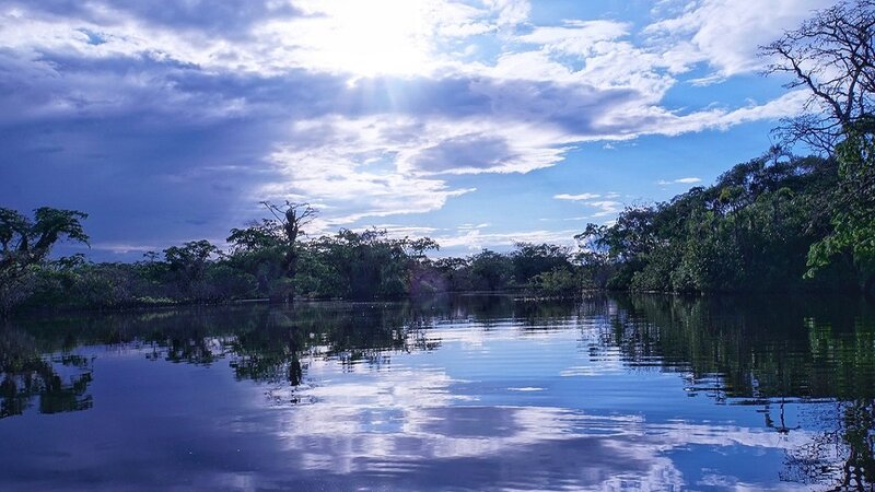 Amazon countries sign Belem declaration but disagree on deforestation principles