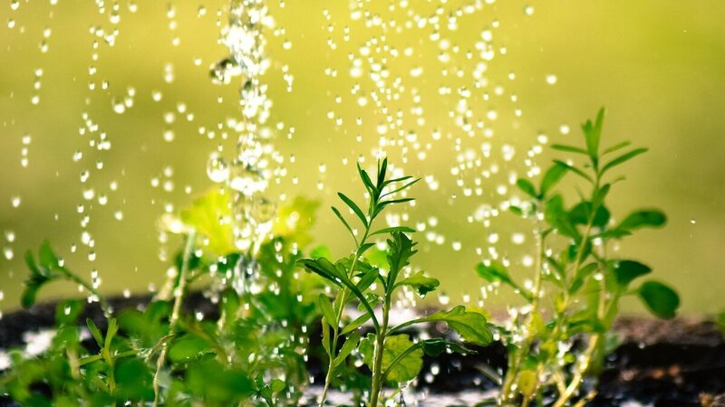 Private clients return to ESG funds with new ways to tackle returns